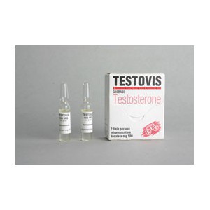 Testovis